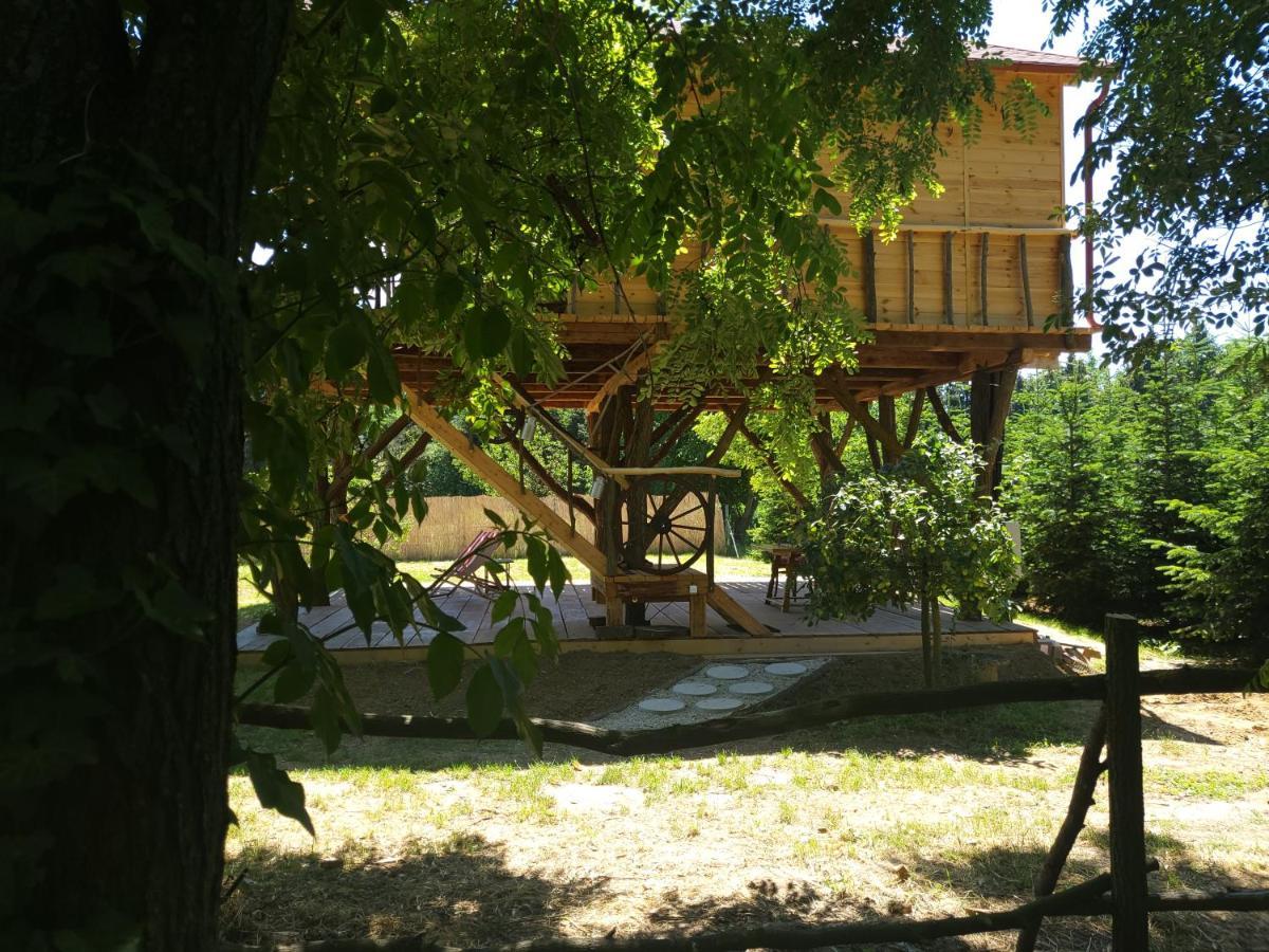 Ehm Baumhaus Апартаменти Mesteri
